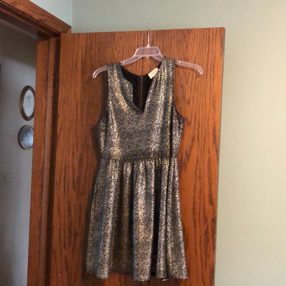 Sparkly dress